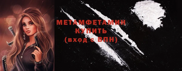 трава Ельня