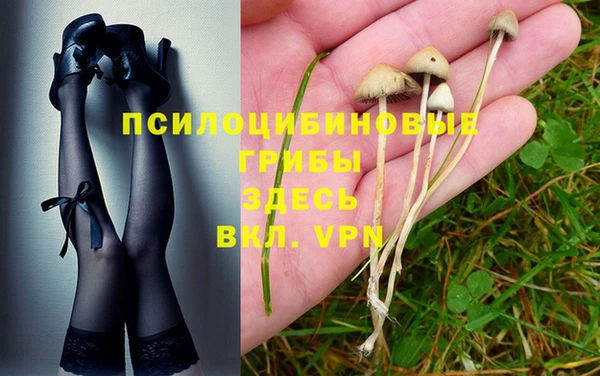 мет Елизово