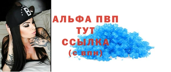 трава Ельня