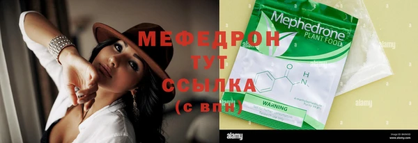 трава Ельня