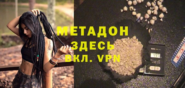 трава Ельня