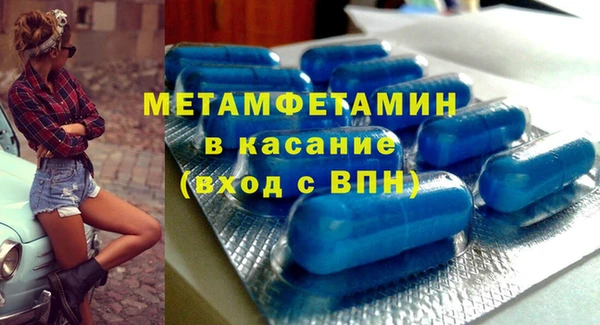 трава Ельня