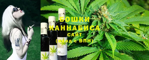 трава Ельня