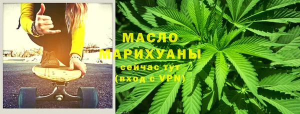 трава Ельня