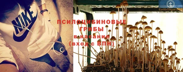 мет Елизово