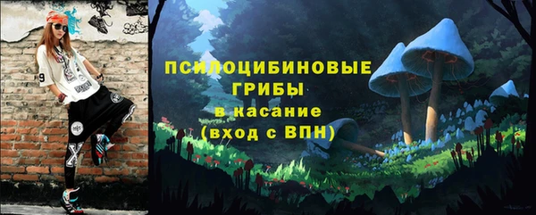 мет Елизово