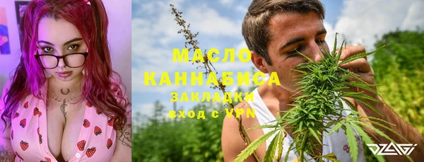 трава Ельня