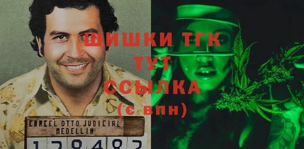 трава Ельня