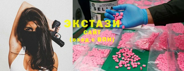 трава Ельня