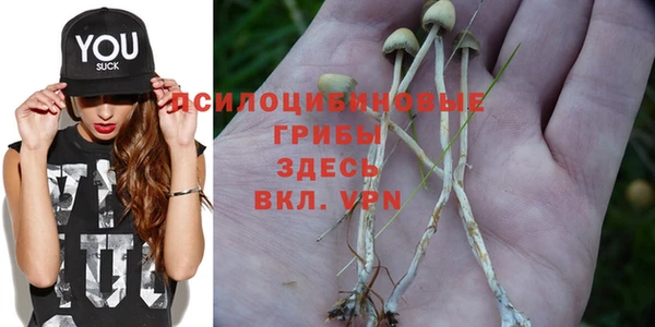 мет Елизово