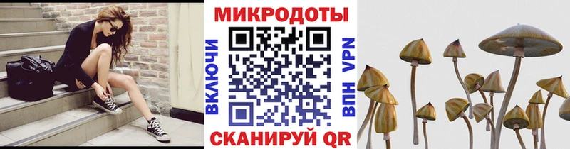 Купить закладки  Чердынь  Галлюциногенные грибы GOLDEN TEACHER 