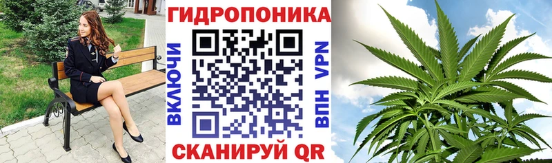Бошки Шишки Amnesia  Купить  Чердынь 